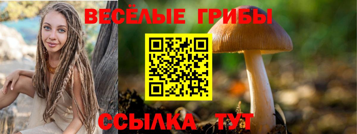 Псилоцибиновые грибы мицелий  Вход с VPN  наркотики  Карпинск 